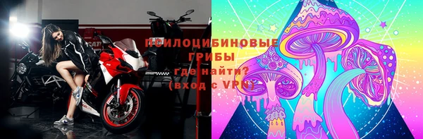 дмт Алексеевка