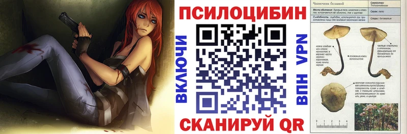 как найти   Ужур  Галлюциногенные грибы GOLDEN TEACHER 